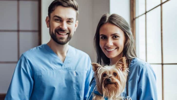 veterinary-legal-trends