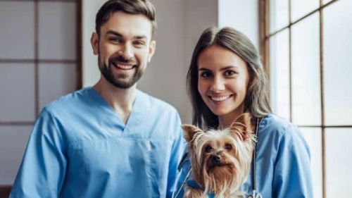 veterinary-legal-trends