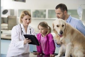 Tips for Cyber Security i…