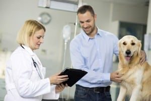 Tips for Cyber Security i…