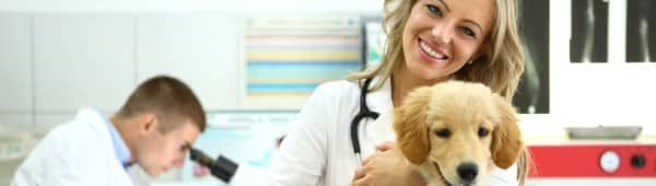 Employment Law: Veterinar…