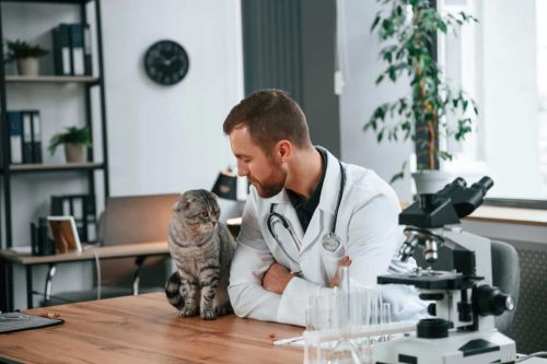 Private Equity in Veterin…