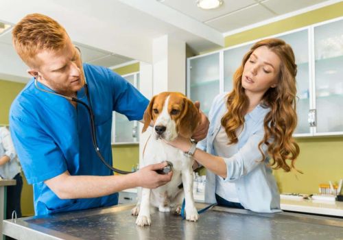 Veterinary Practice Owner…