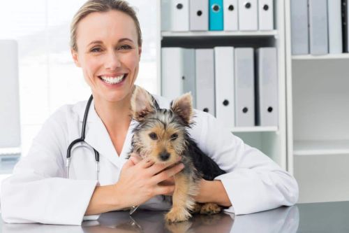 Protecting Your Practice:…