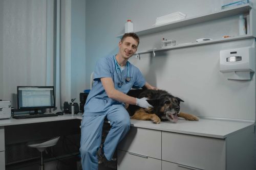 Separation Letters One of the Most Overlooked Documents in Veterinary Practices.